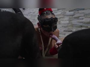 Double ration canine pour Mia : gland à gogo avec deux mastodontes