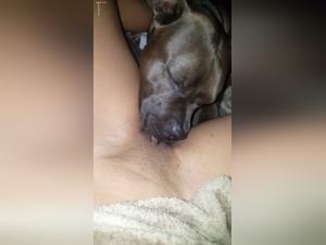 Night Bestiality