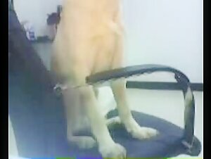 Intimate Moment with a Dog