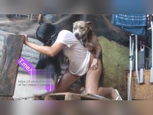 Brazilian bestiality Juli 18