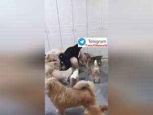 Cruel Delights: Chinese Animal Sex Collection 2