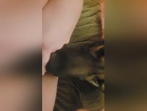 Canine-benchman, feline power on teenager