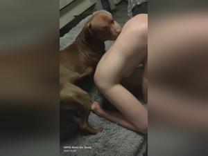 Bestial Temptations: A Polish Girl and her Dog