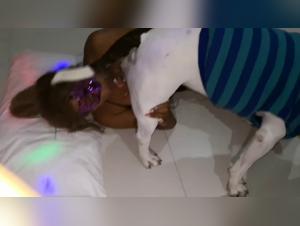 Sexe et animal : le dog sex disease révolutionne l'érotisme