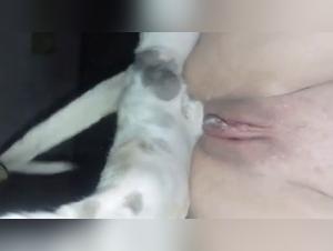 MissFreak33Queen: Bestial Debauchery Live
