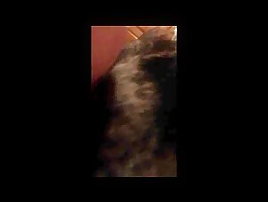 Submissive woman married to a dog