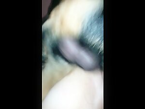 Intimate with a Dog