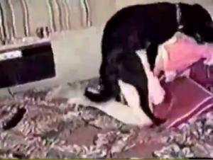 Extreme zoophilia: Milly at Mercy du Chien