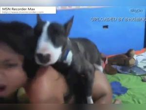 Sweet Canine Delights