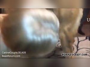 Bestial Delights: Unleashed female dogs & Dildos