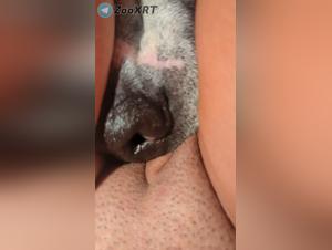 Fierce orgies: dog and woman at the height of perversion