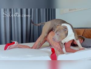 Wild Animality: Canine Fuck at the Aviator Party