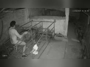 Live Webcam: Indecent Animal Debauchery