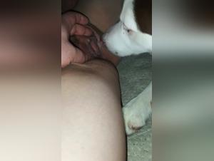 Unworthy Zoophilia: Unconscious Canine Aggression