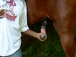 Outdoor interspecies encounter: a black woman and a horse