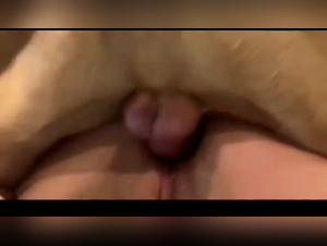 Jazminedogsex: Hollische Hundeausschweifung