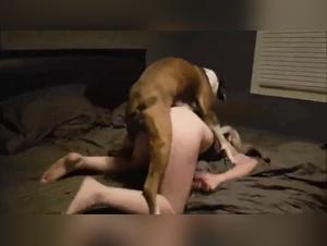Intense bestiality: famous blonde and her dog