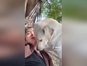 Tiktok Inferno: Girl and dog merge