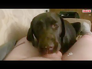 Dog subjected to extreme domination