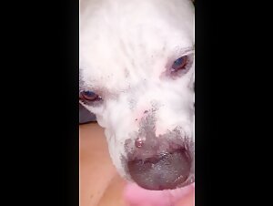 Teenage Girl and Dog: Deep Tongue