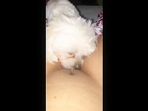 Teenage girl and her dog: a story of bestiality