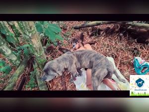 Los mejores videos de bestialidad en el sitio web AlisonProd.com