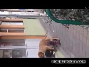 Animal orgy: The slut and the pony
