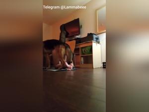 Double Canine Penetration: Tattoo & Debauchery