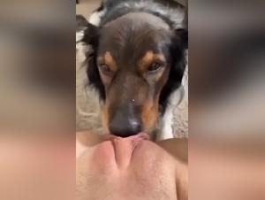 Zoophilia Hardcore: The Goddess Fucked by Her Dog