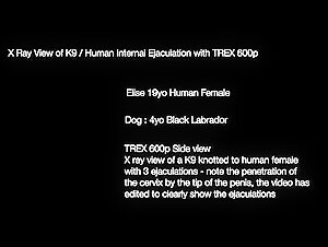 Elise X-Ray: A Young Girl and Her Four-Legged Best Friend
