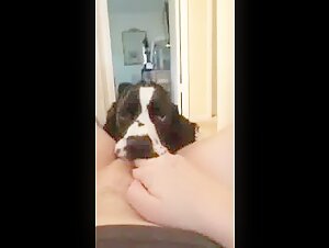 Excited dog licking the pussy of a woman in ecstasy 1/2