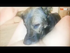 Dog subjected to extreme domination