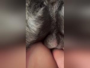 Animal Desire: Explore the Incredible Brothel of Fetishes