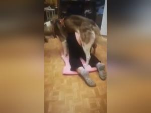 Animal Escandal: Female Sex and Dog