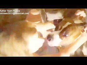 Russian woman in ecstasy with her dog