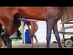 taboo zoo bestiality