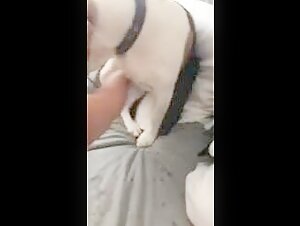 Wanton woman in action with a dog