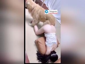 Animal Desire: Milly and her Dog in a Forbidden Passion