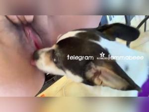 Lonely Mommy: A Four-Legged Devouring Delight