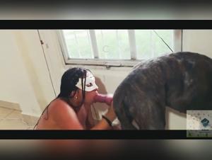 Les Limites du Désir : Bestiality au Coeur du Porno