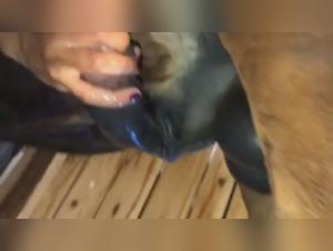 Hardcore Zoophilia: The Perverted Delight of a Slut and Her Dog