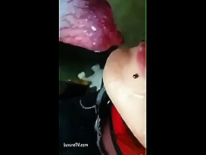 hardcore bestialite