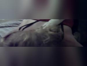 ArtofZoo: Dog Smashes Nadya