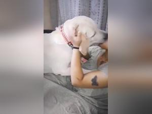 Dog Kiss Extreme: Uncontrollable Desires