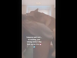 Daddy's Dog: A Young Girl and Her Four-Legged Best Friend