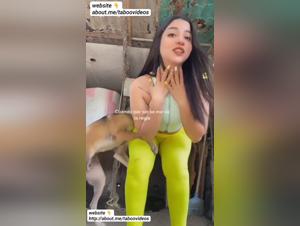 Canine domination: Dog devours model in public