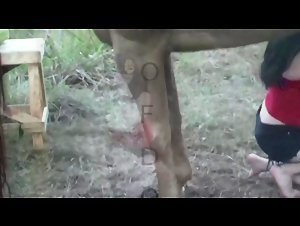 Mujer y caballo: un encuentro bestial