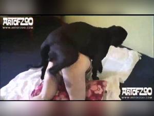 Zoophilia Unveiled: Kerstin and her Cane Corso