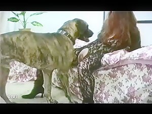 Zoobook - A bestial and intense encounter
