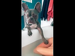Horny Dog Loves To Fuck